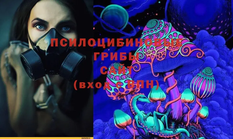 Псилоцибиновые грибы мухоморы  мориарти формула  Камышлов  сколько стоит 